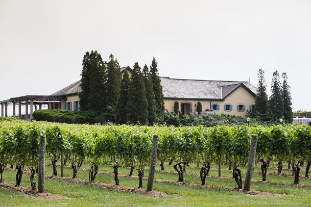Wolffer winery